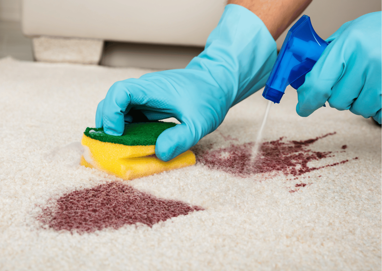 Stain Removal Guide Training Course cover image