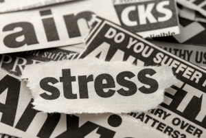 Stress Management in the Workplace cover image