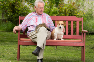 The Science of Animal-Assisted Healing cover image