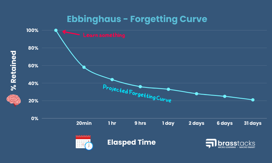 Ebbinghaus forgetting Curve dark large