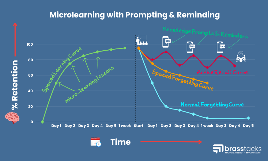 Learning and Ebbinghaus Forgetting Curve dark