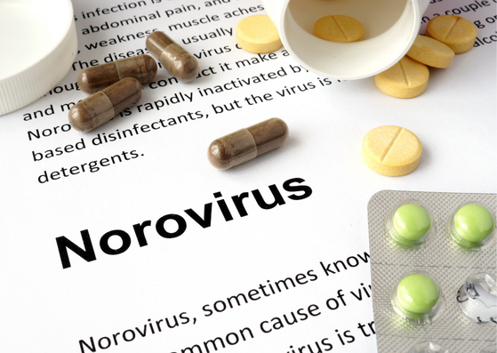 Reducing the Risk of Norovirus Infection cover image